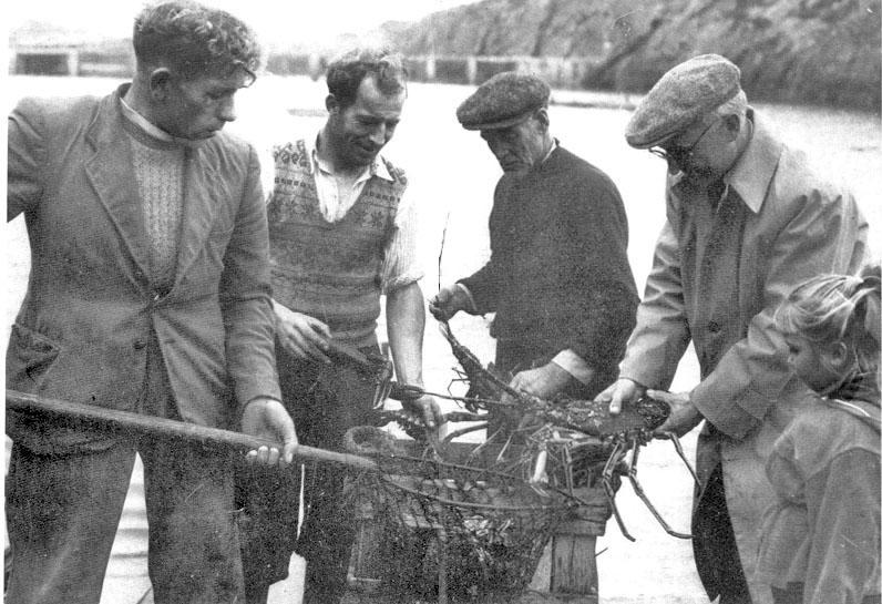 Les langoustes du Connemara.