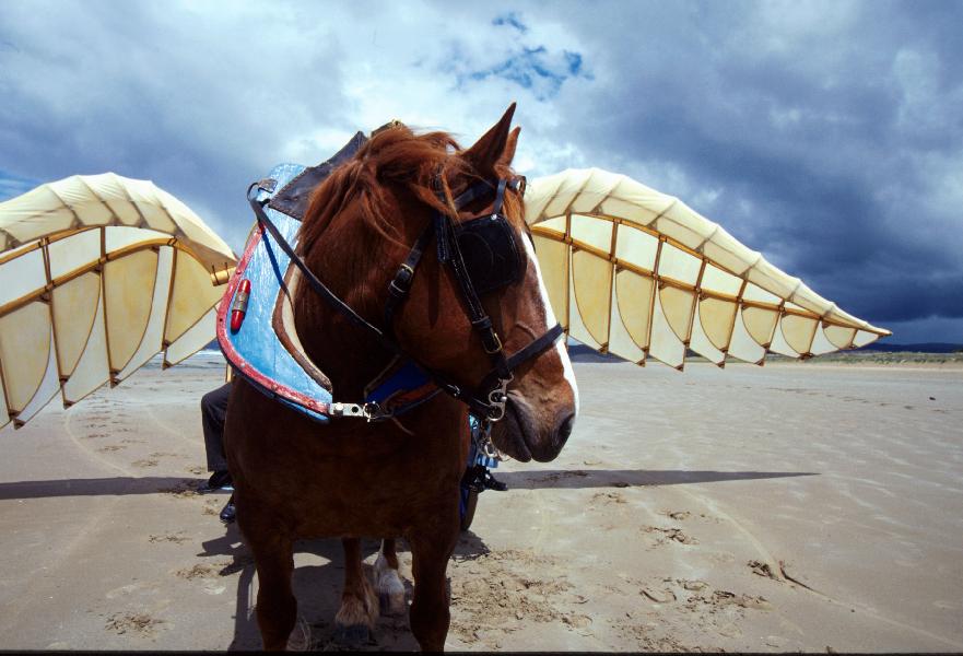 collection privée Noel Le Hénaff