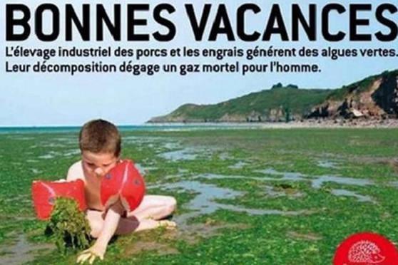 L\'affiche en litige.