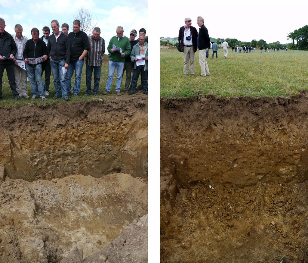 A gauche  un sol témoin traité avec des engrais chimiques. A 
droite un sol traité avec des  bactériosols et des bacteriolits. 
Le sable se transformant en argile (tous les deux à base de 
silice) sous l\'influence des micro-organismes !