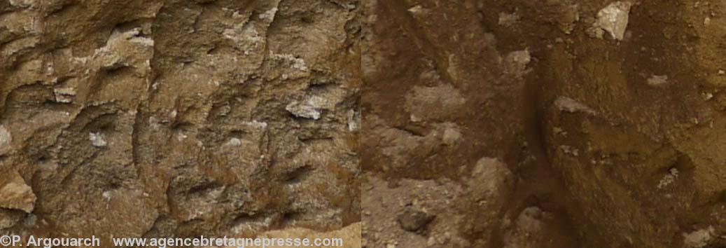 A gauche sol sabloneux et   à droite sol argileux humide.