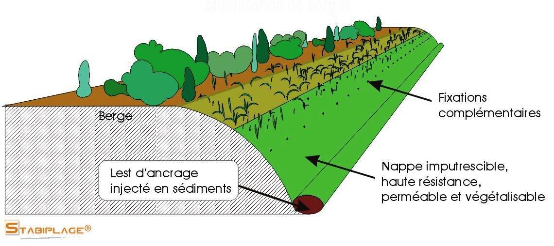 Photos stabplage 
http://www.stabiplage.com/index.php?
rub=_Milieu_Marin