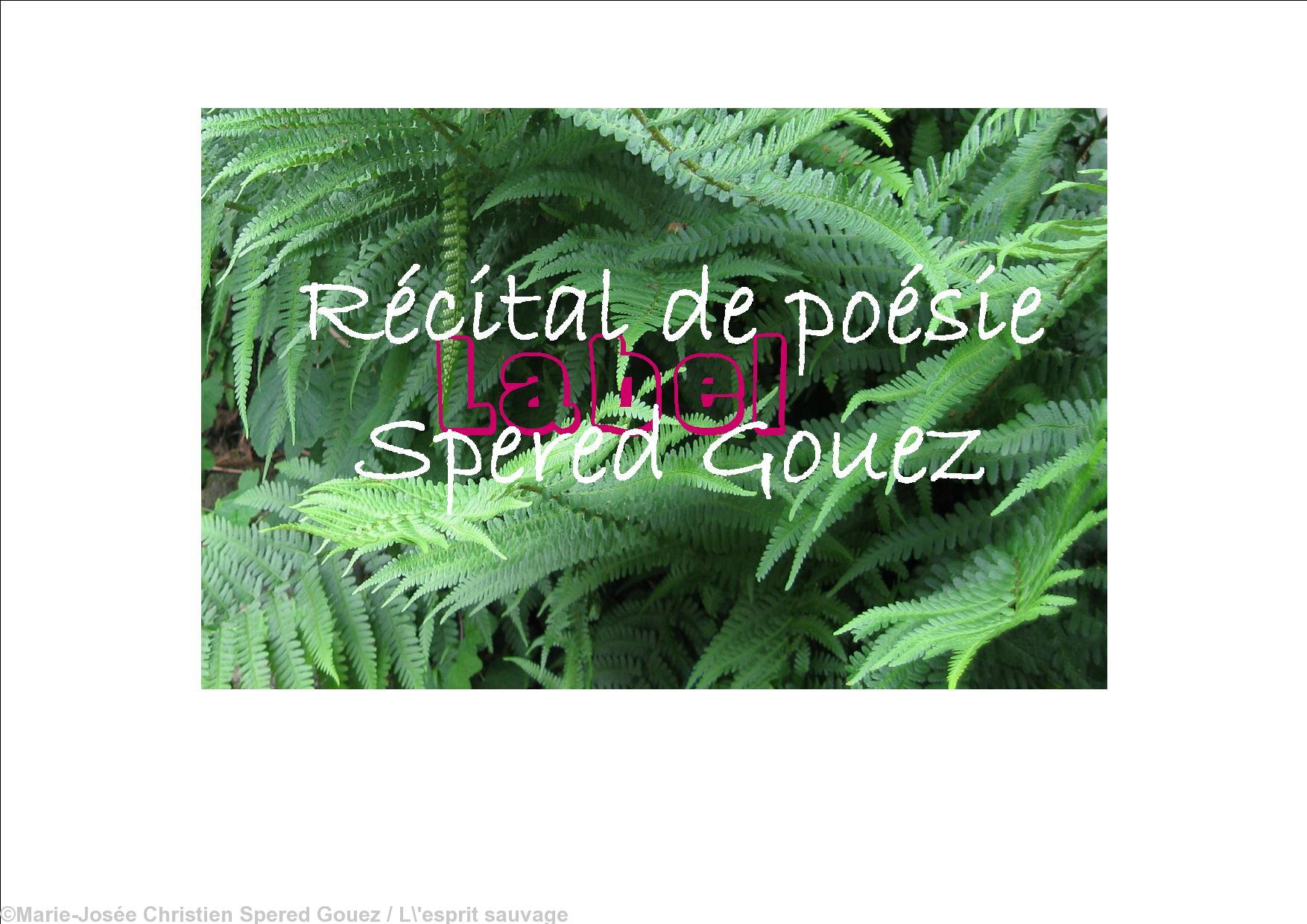 Logo label Spered Gouez