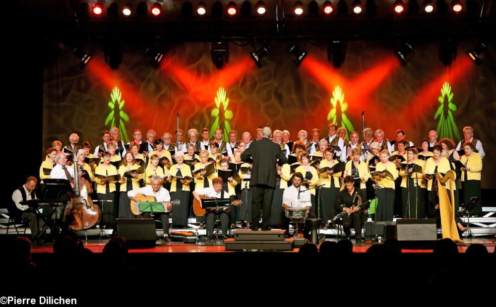 Concert d\'ouverture du festival \"Folklores du Monde\" à Saint-Malo (juillet 2011)