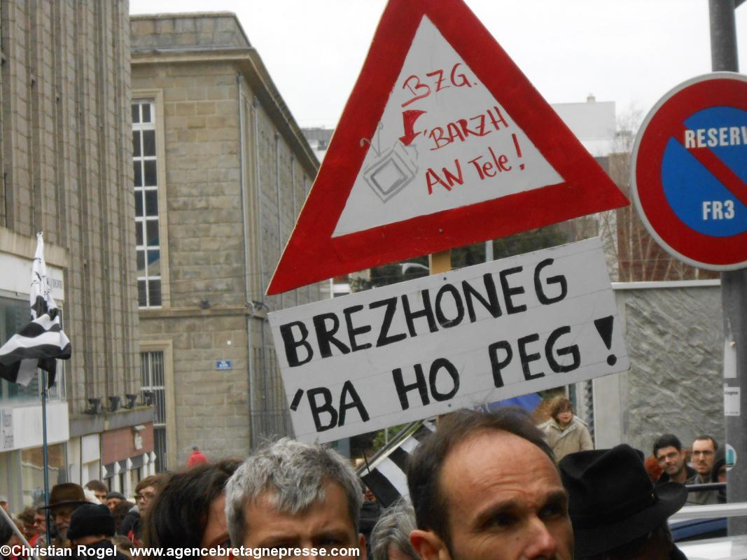 Brest 09/02/13 Manifestation pour une télévision bilingue
Tête de la chaîne humaine
