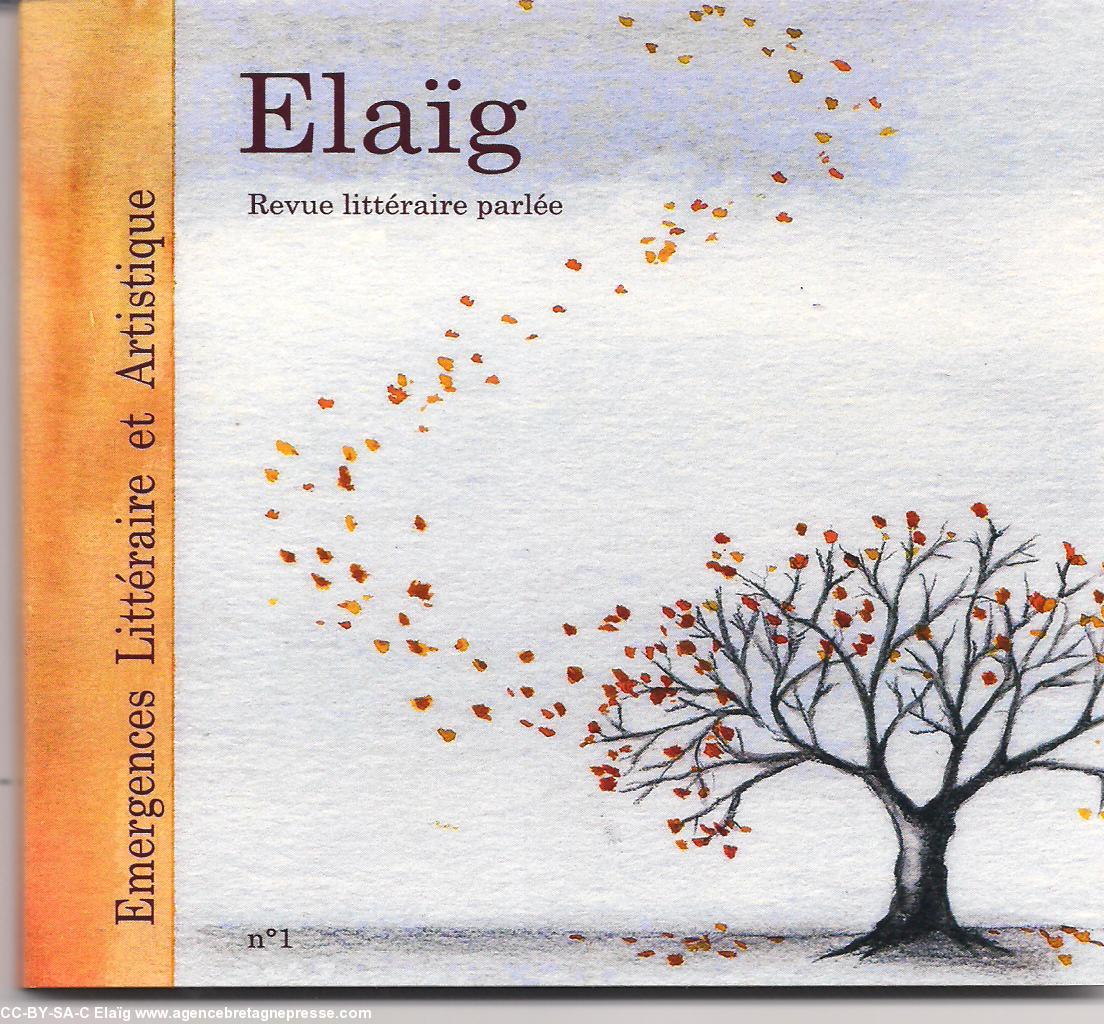 Couverture de Joëlle Delain