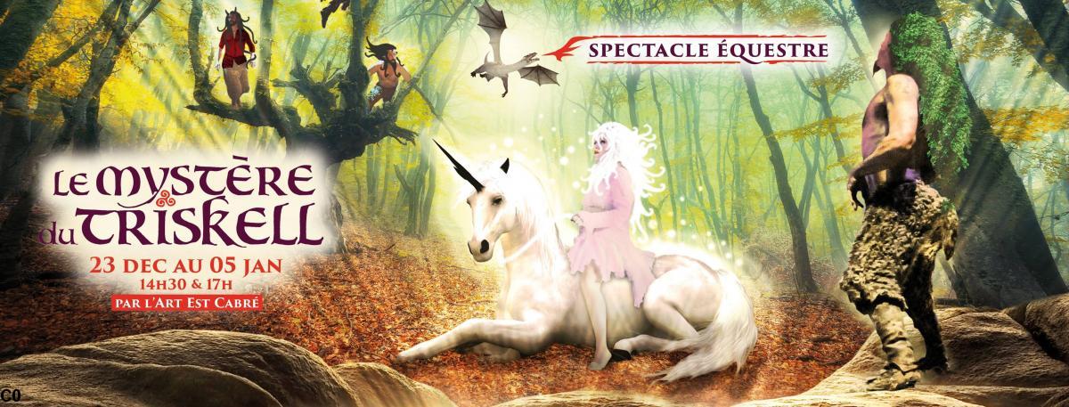 concours mystère du triskell