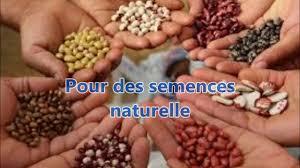 Grains bio