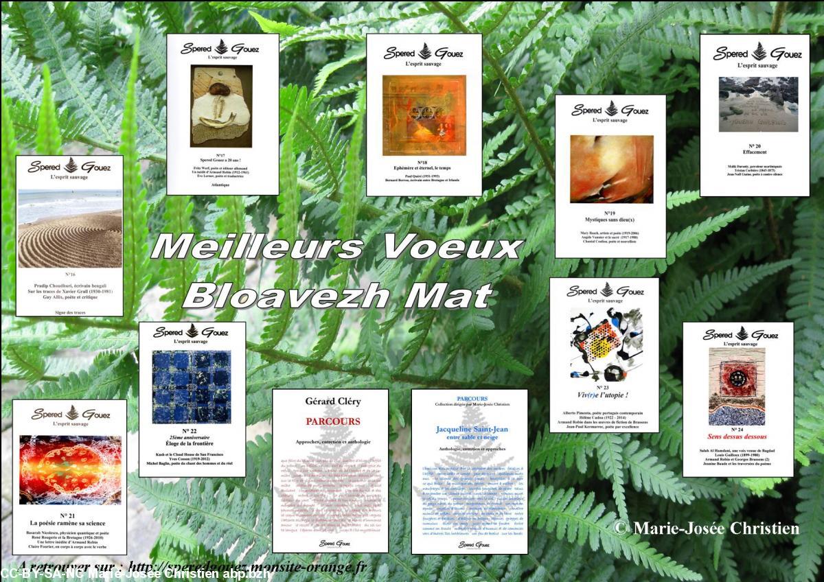 Voeux de Spered Gouez