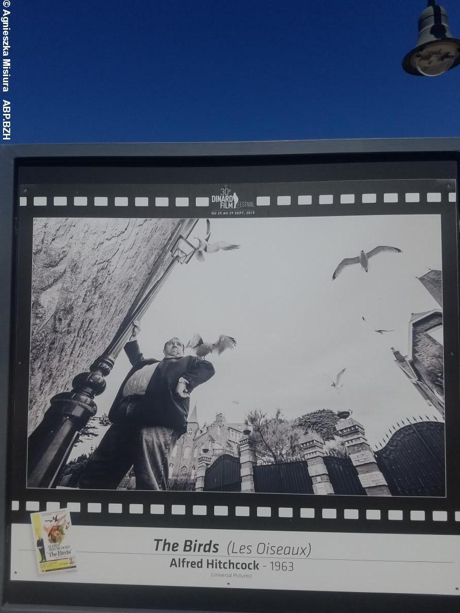 "Les oiseaux" d'après Guillaume Aussant et Gaêle Brignon