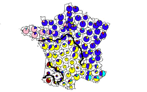 The genetic map of France publié dans la revue biologique BIORXIV : Reproduction autorisée pour ABP.