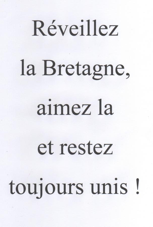 Le bulletin "nul" d'un électeur...