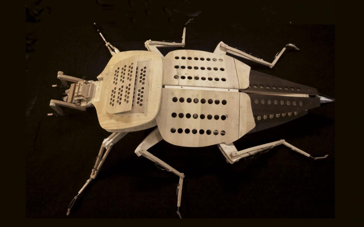 De drôles d'insectes au Petit Echo de la Mode