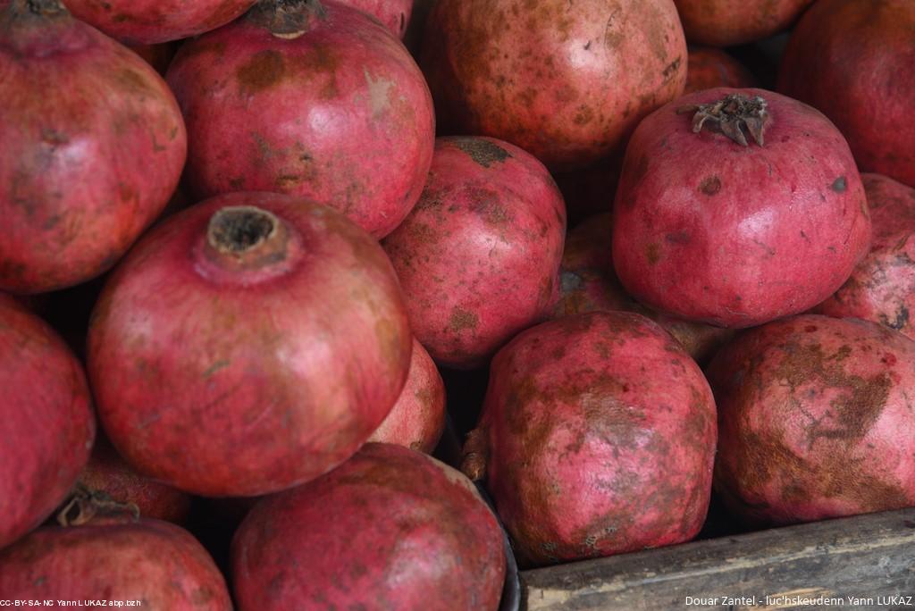 Israël, grenades sur un marché Israël, grenades sur un marché