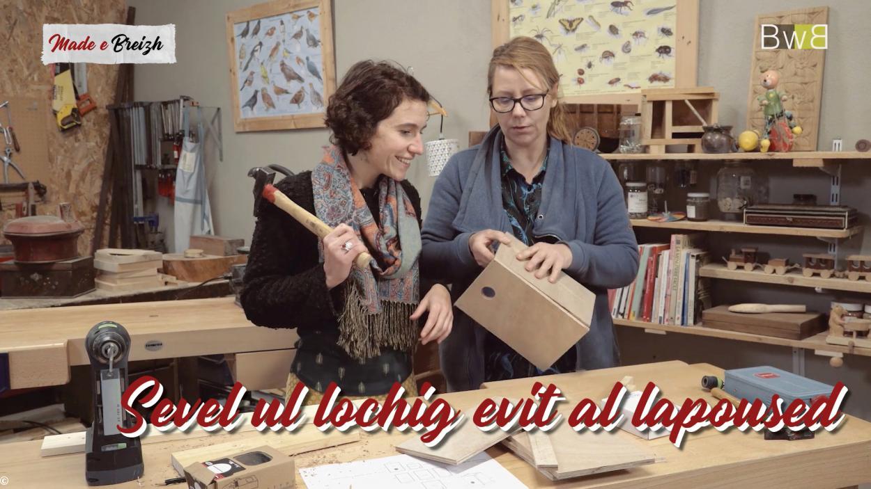 Fabriquer un nichoir pour les oiseaux (en breton) - Made e Breizh.