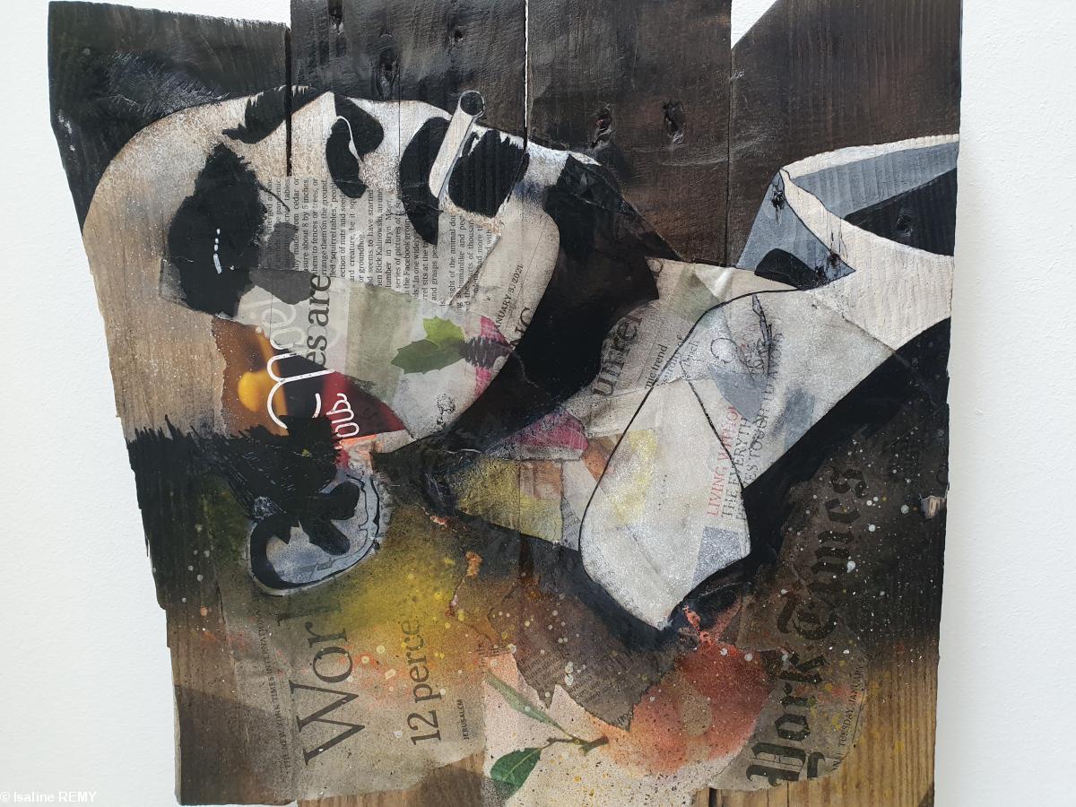 David BOWIE par Benoît PEQUIGNOT