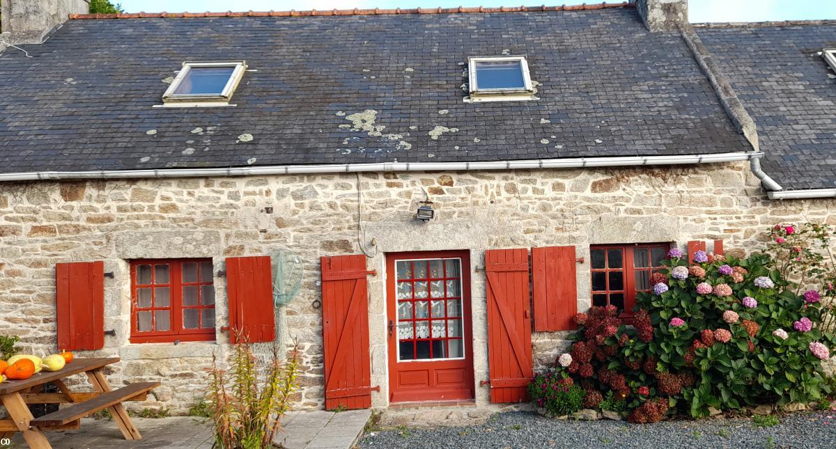 Existe-il toujours des penn-ti sur le marché ?