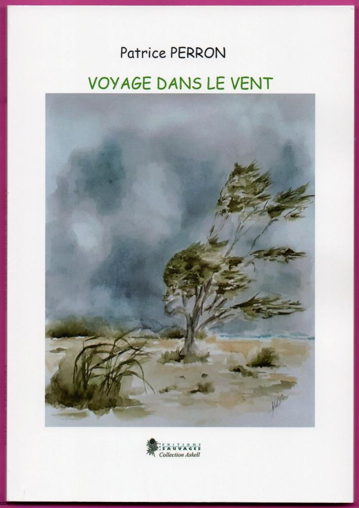 Couverture de "Voyage dans le vent"
