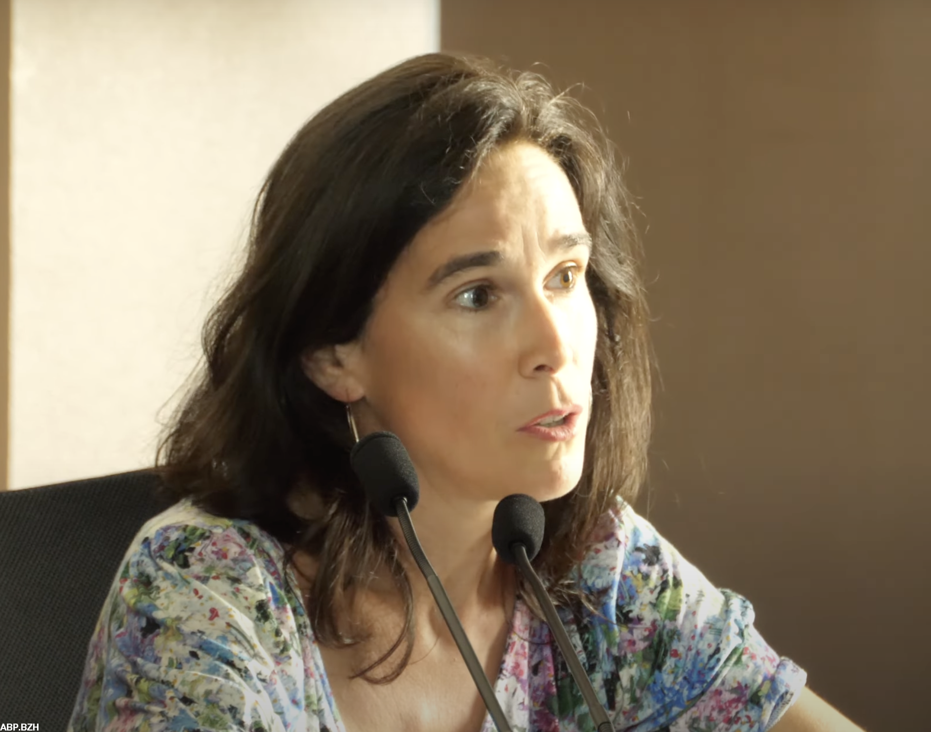 Née à Nantes, Aziliz Gouez a grandi dans une ferme du Morbihan où ses parents lui ont appris le breton. Elle est passée par Sciences Po, puis l’École des Hautes Études en Sciences Sociales de l’Université de Cambridge. Elle a travaillé entre autres pour Jacques Delors et le Président de l’Irlande Michael D. Higgins avant de revenir en Bretagne en 2019. Elue à la fois à Nantes métropole et au Conseil régional de la Bretagne administrative, elle est une personification du rétablissement de la Bretagne dans ses frontières naturelles et historiques souhaité par les citoyens.