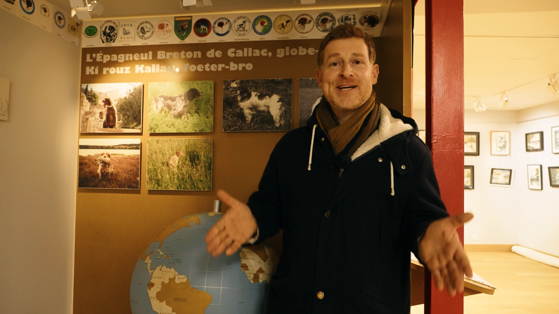 Vous saurez tout sur l'épagneul breton en allant à la maison de l'épagneul breton à Callac !