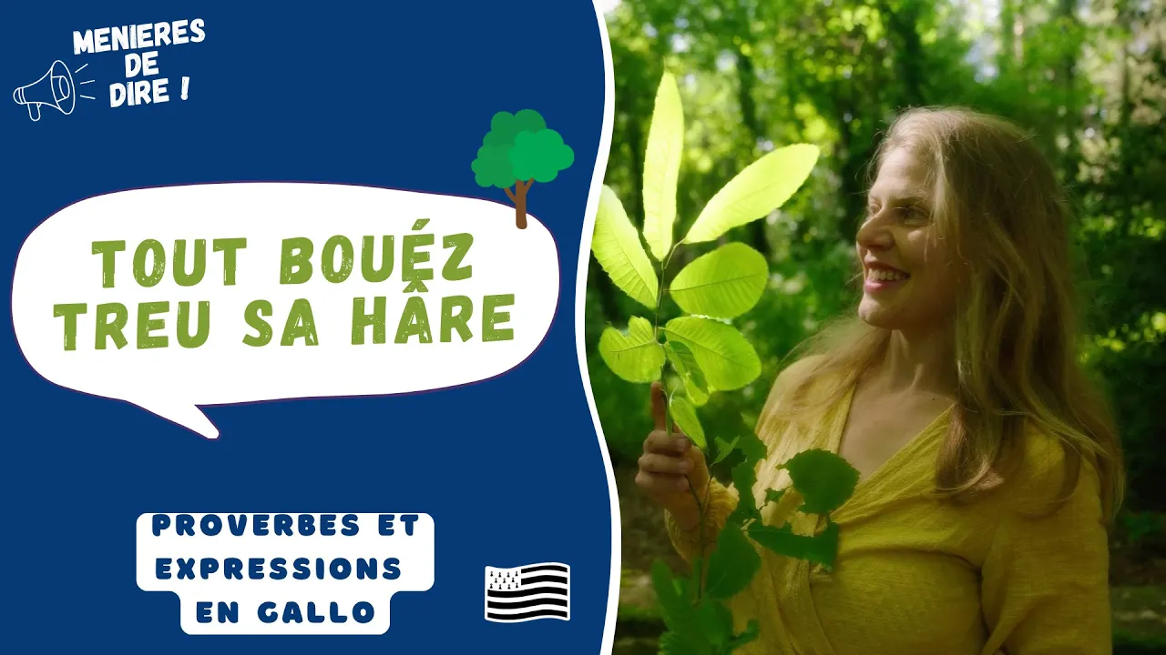 Proverbe « Tout bouéz treu sa hâre » en gallo présenté par Morgane Le Cuff.